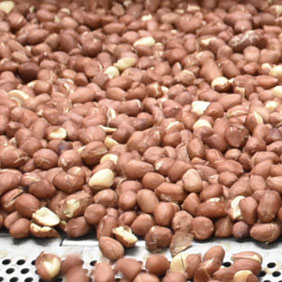 roasted peanut.jpg